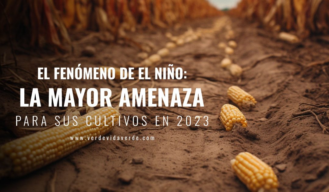 Banner del blog: El fenómeno de El Niño, la mayor amenaza para sus cultivos en 2023