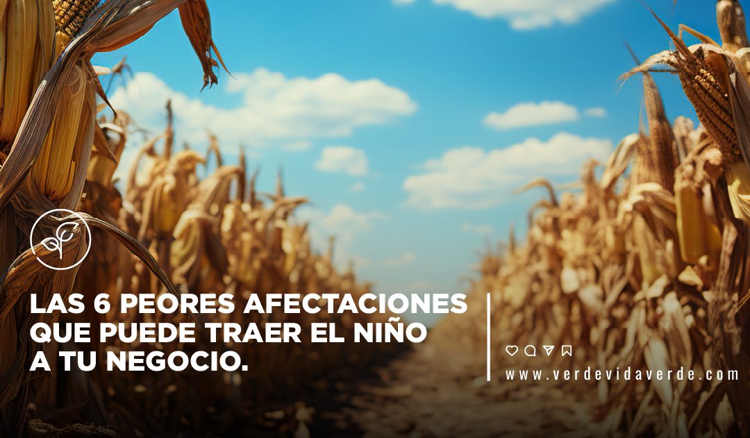 Banner del blog "El Niño: Las 6 peores afectaciones que puede traer a tu negocio."