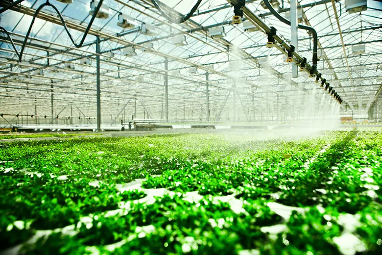 4 tecnologías que están revolucionando la industria agrícola en 2020