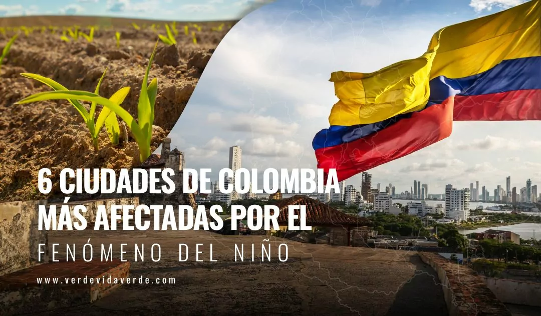 6 ciudades más afectadas por el fenómeno del niño en colombia