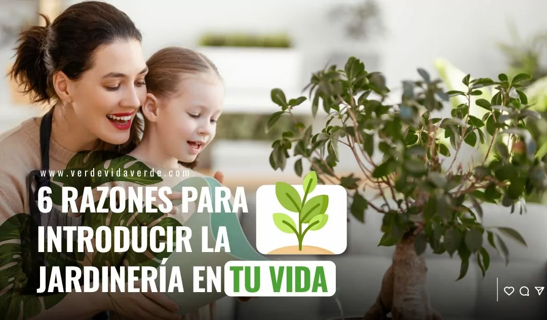 Banner del blog "¡6 razones para introducir la jardinería en tu vida!"
