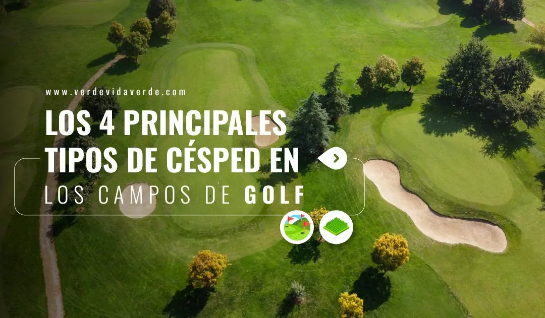 Banner del blog "Los 4 principales tipos de césped en los campos de golf"