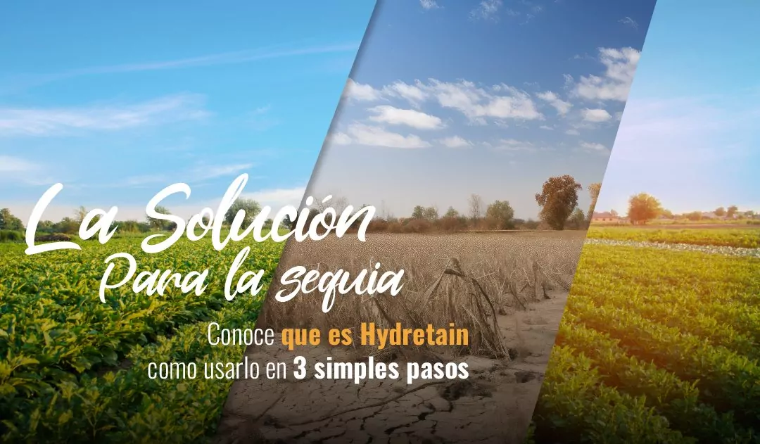 Combate la sequía con hydretain y conoce sus beneficios y como usarlo en 3 simples pasos