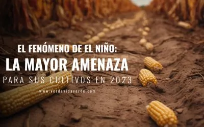 El fenómeno de El Niño, la mayor amenaza para sus cultivos en 2023